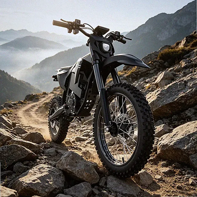 Aipas 4000W Peak Electric Dirt Bike 60V 28Ah 14'' Fat Tire Motorcycle Adults