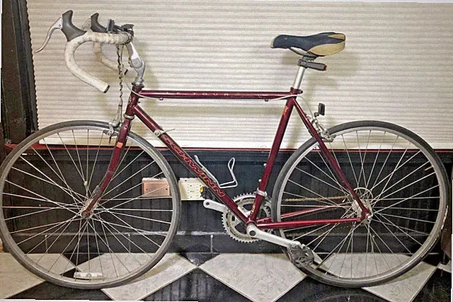 Schwinn Le Tour Road Bicycle 100 Anniverary